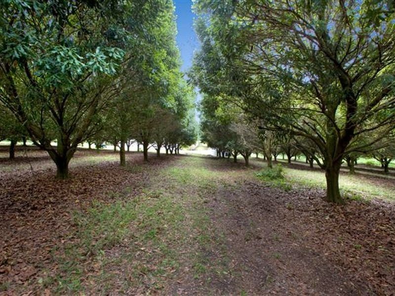 10 Osprey Drive, Urunga NSW 2455