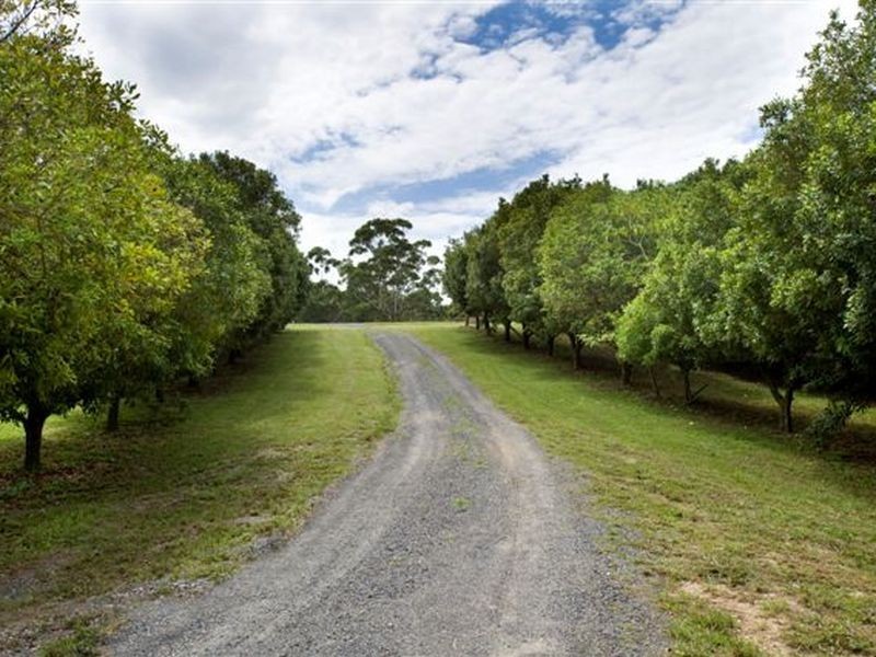 10 Osprey Drive, Urunga NSW 2455