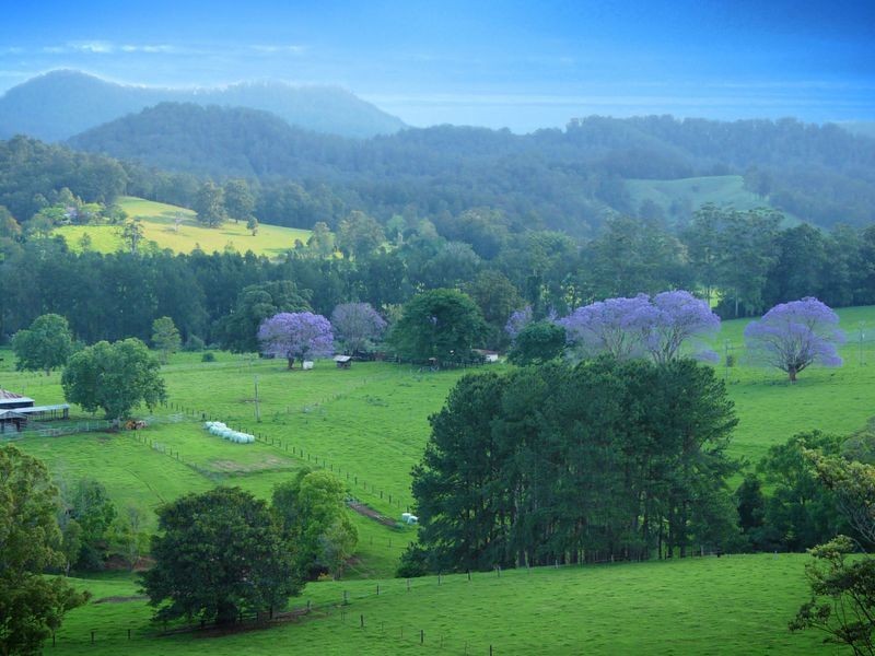 2749 Waterfall Way Thora, Bellingen NSW 2454