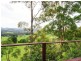 2749 Waterfall Way Thora, Bellingen NSW 2454