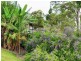 2749 Waterfall Way Thora, Bellingen NSW 2454