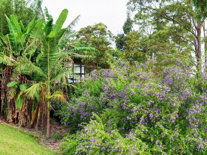 2749 Waterfall Way Thora, Bellingen NSW 2454