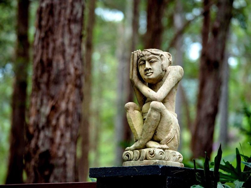 2749 Waterfall Way Thora, Bellingen NSW 2454