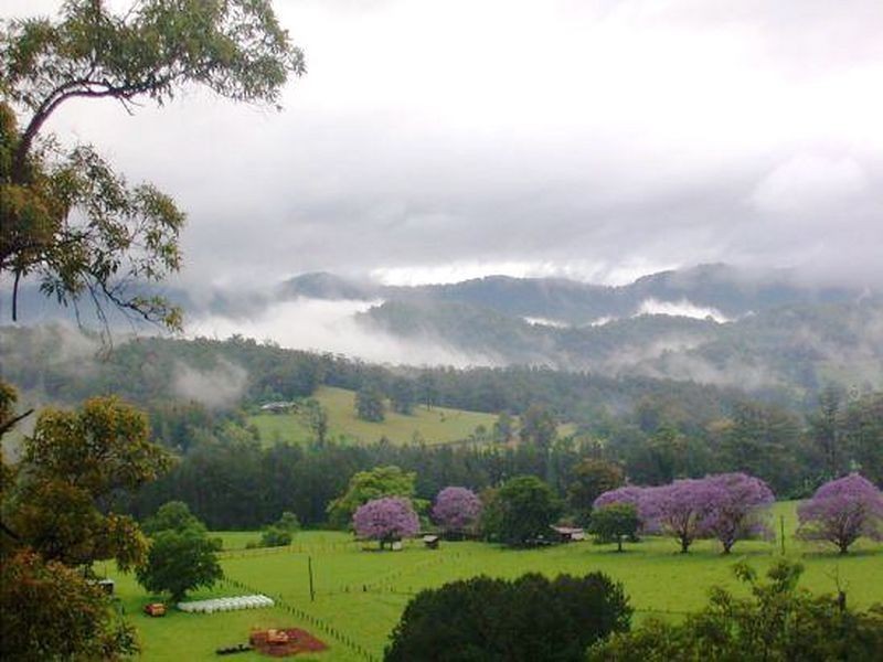 2749 Waterfall Way Thora, Bellingen NSW 2454