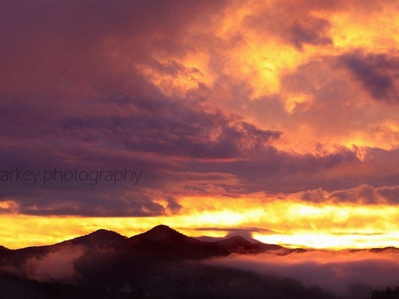 2749 Waterfall Way Thora, Bellingen NSW 2454