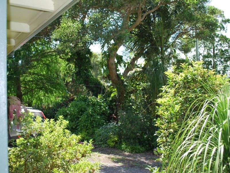 163 Archville Station Road, Bonville NSW 2441