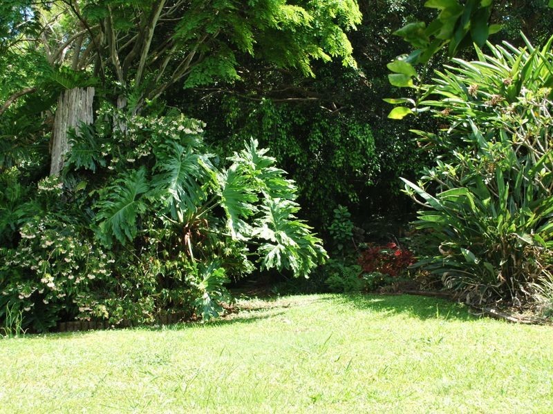 163 Archville Station Road, Bonville NSW 2441