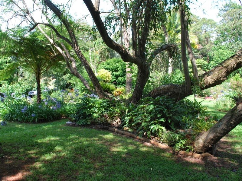 163 Archville Station Road, Bonville NSW 2441