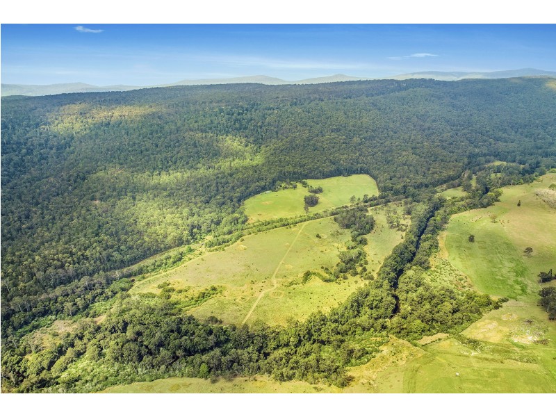 696-698 Waihou Forest Road, Glenreagh NSW 2450