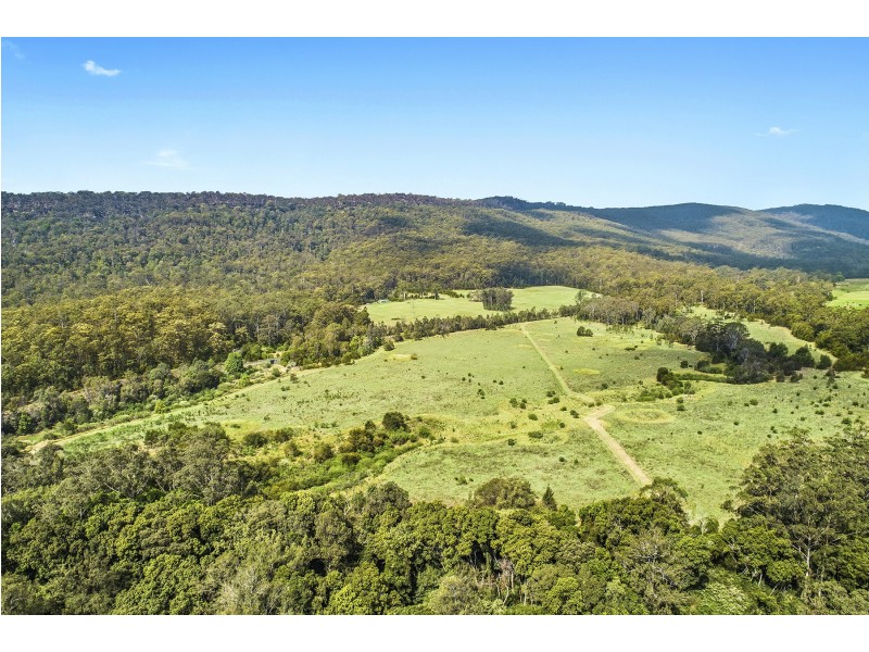 696-698 Waihou Forest Road, Glenreagh NSW 2450