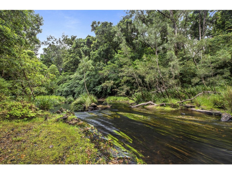 696-698 Waihou Forest Road, Glenreagh NSW 2450