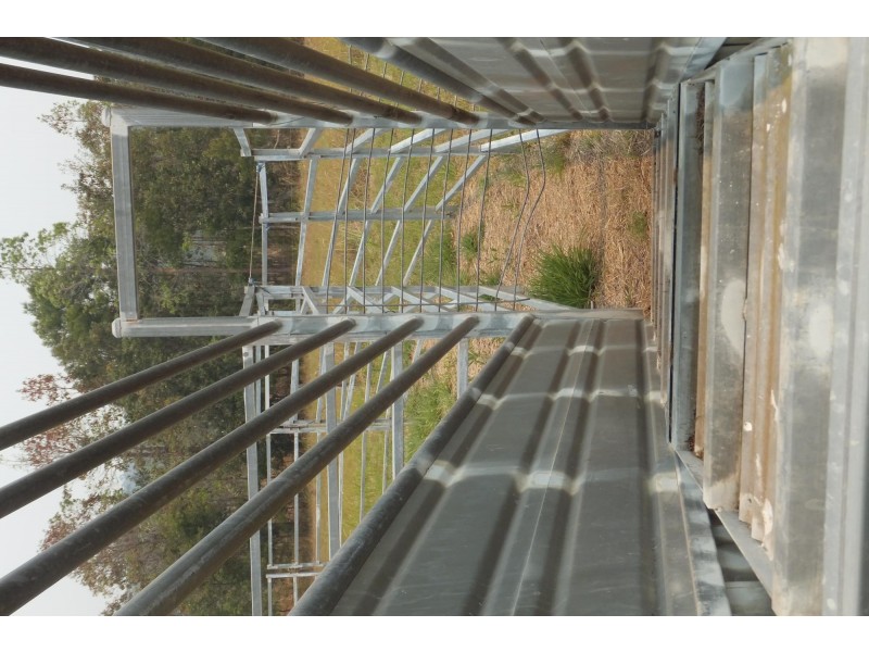 696-698 Waihou Forest Road, Glenreagh NSW 2450