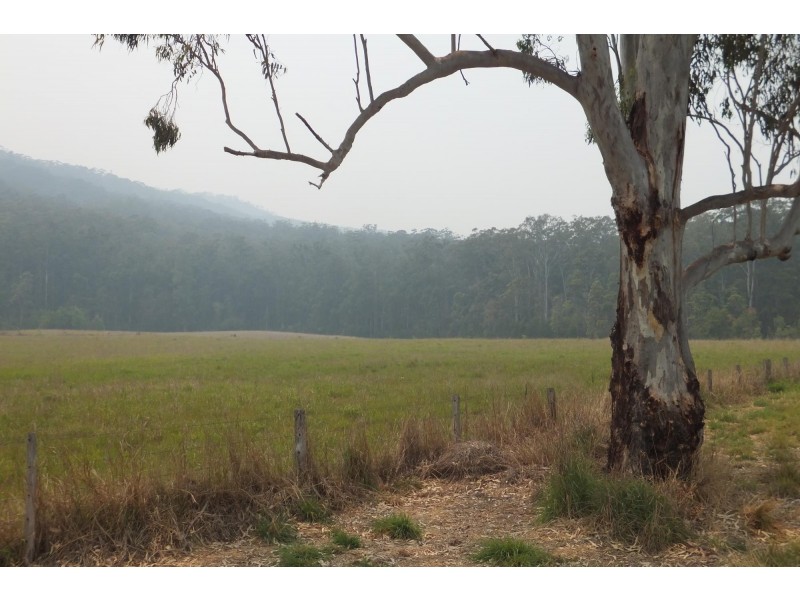 696-698 Waihou Forest Road, Glenreagh NSW 2450