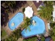172/8 Solitary Island Way, Sapphire Beach NSW 2450