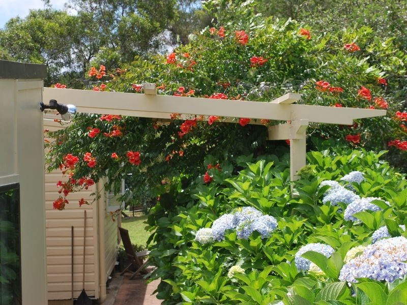 230 Timmsvale Road, Ulong NSW 2450