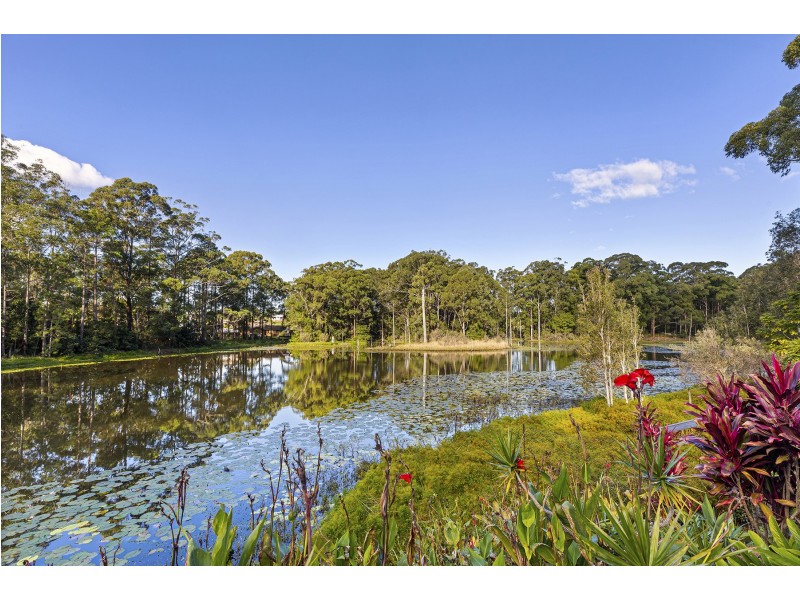 97 Woolgoolga Creek Road, Woolgoolga NSW 2456