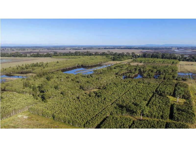 58 Wooli Road, Tucabia NSW 2462