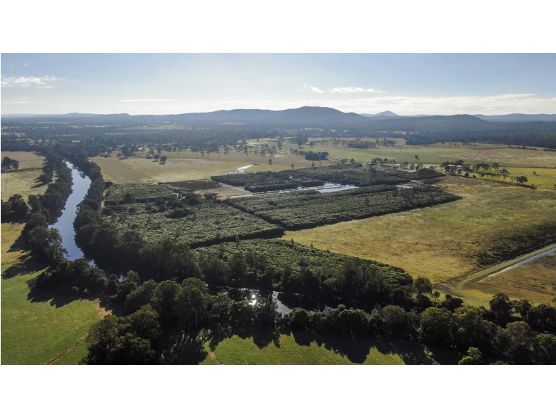 58 Wooli Road, Tucabia NSW 2462