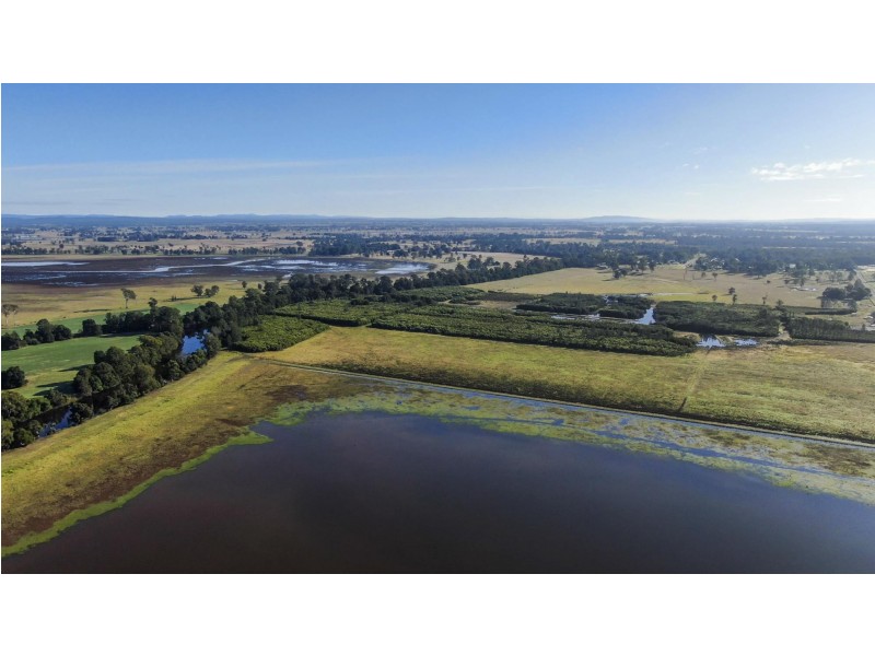 58 Wooli Road, Tucabia NSW 2462