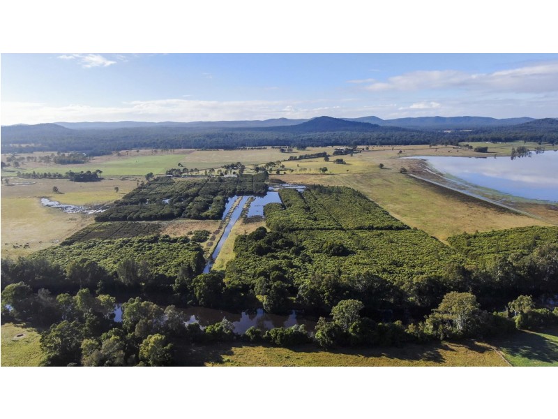 58 Wooli Road, Tucabia NSW 2462