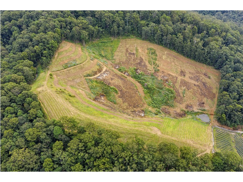 370 Crossmaglen Raod, Bonville NSW 2441