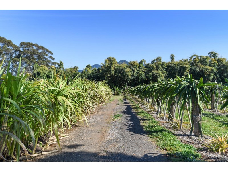 308 Pine Creek Way, Bonville NSW 2441