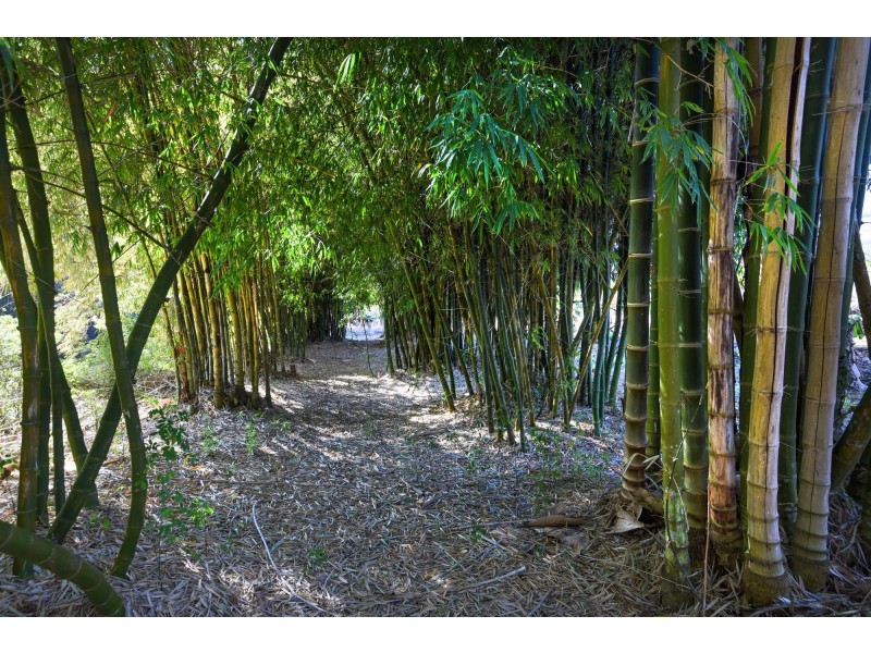 308 Pine Creek Way, Bonville NSW 2441