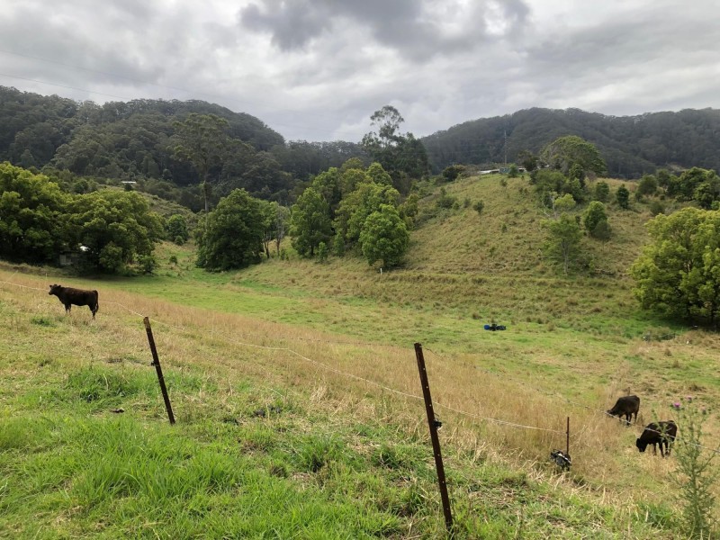 Lot 2 Mcentyre Street, Coffs Harbour NSW 2450