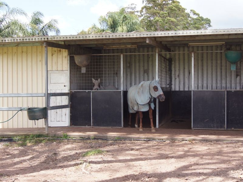 603 Orara Way, Nana Glen NSW 2450