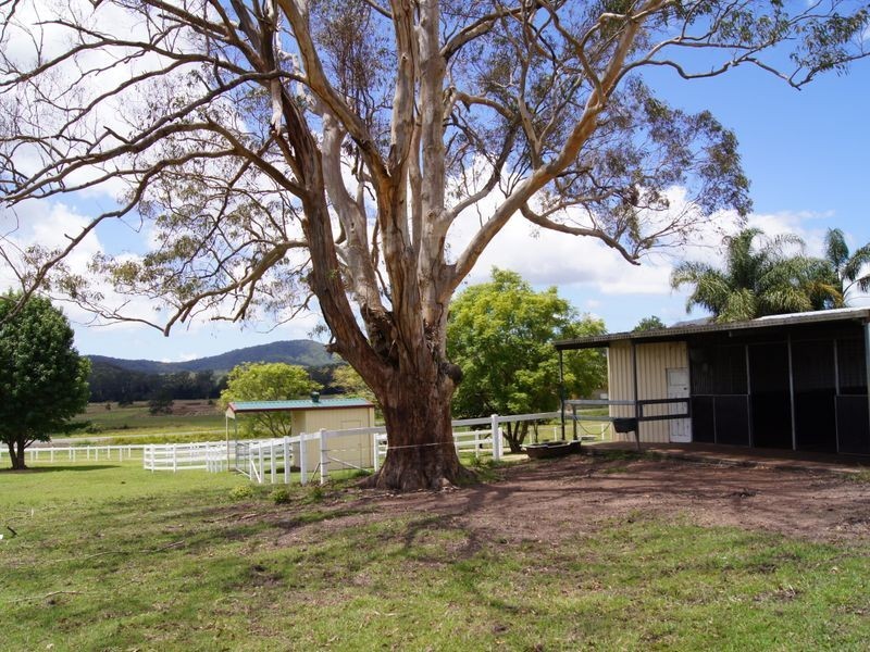 603 Orara Way, Nana Glen NSW 2450
