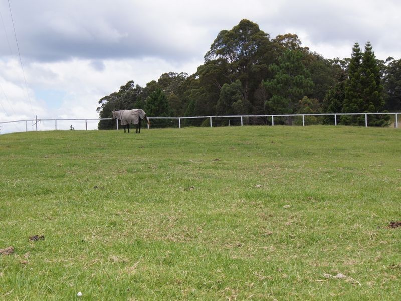 603 Orara Way, Nana Glen NSW 2450