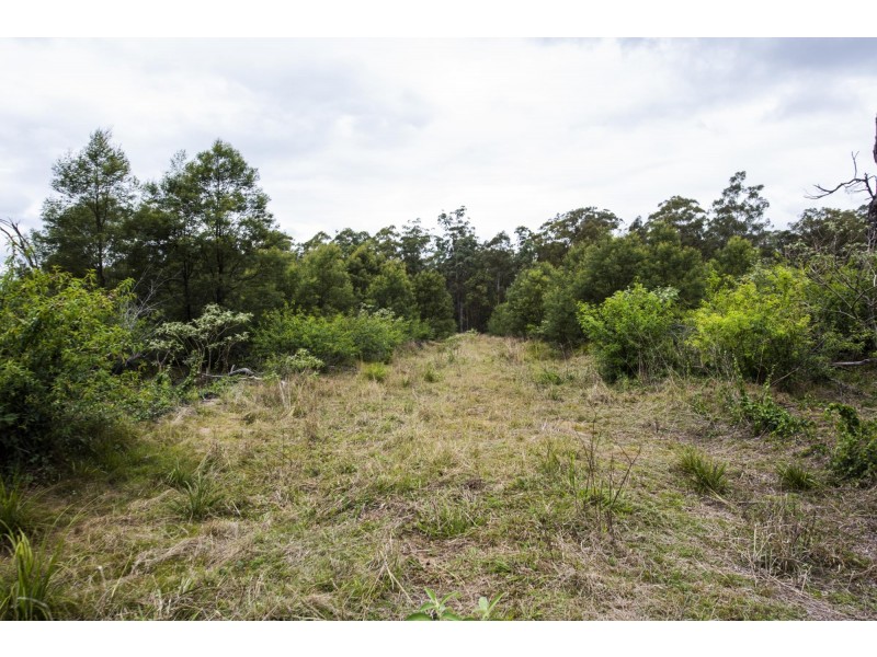 470 Parker Road, Wells Crossing NSW 2460