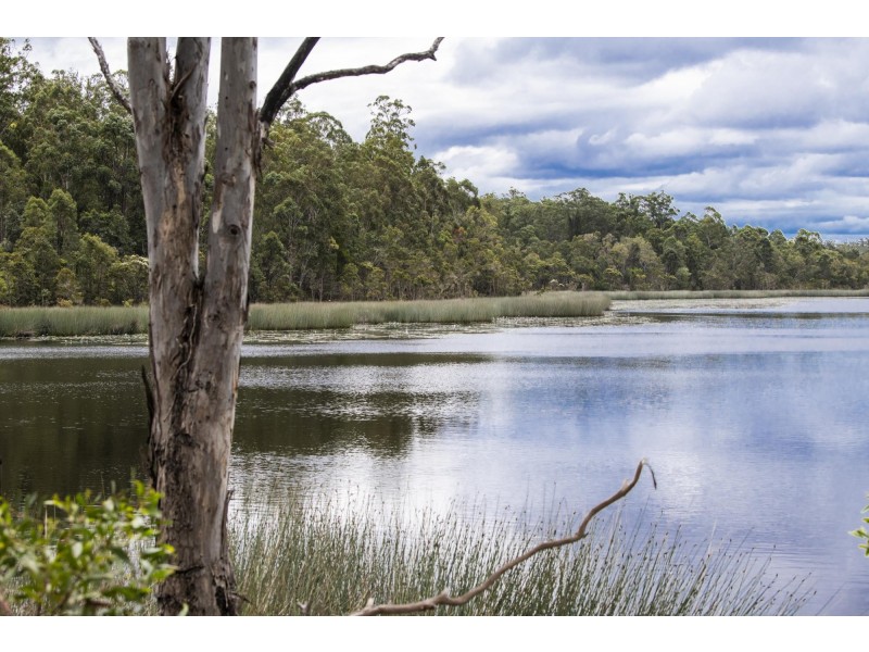 470 Parker Road, Wells Crossing NSW 2460