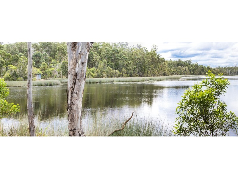 470 Parker Road, Wells Crossing NSW 2460