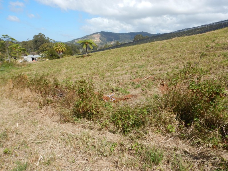 Lot 71 Old Coast Road, Korora NSW 2450
