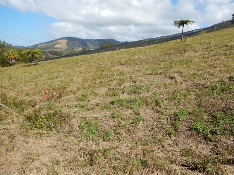 Lot 71 Old Coast Road, Korora NSW 2450