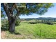 3 Timms Avenue, Ulong NSW 2450