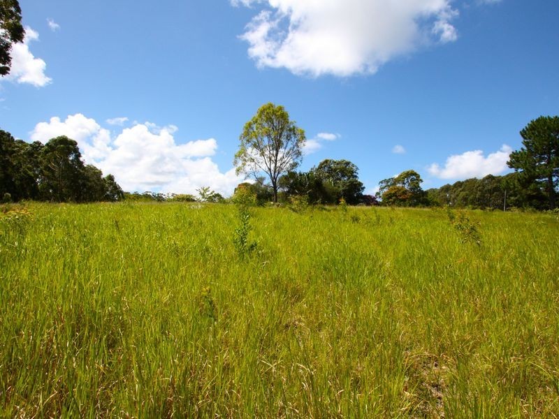 2 Bee Close, Moonee Beach NSW 2450