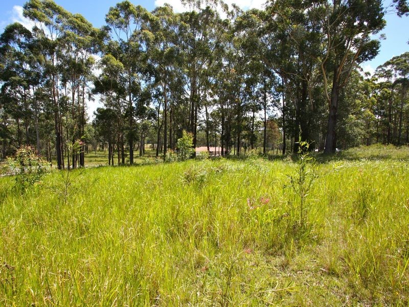 2 Bee Close, Moonee Beach NSW 2450