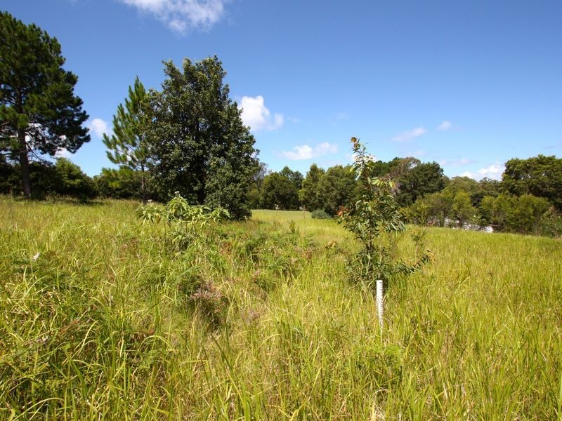 2 Bee Close, Moonee Beach NSW 2450