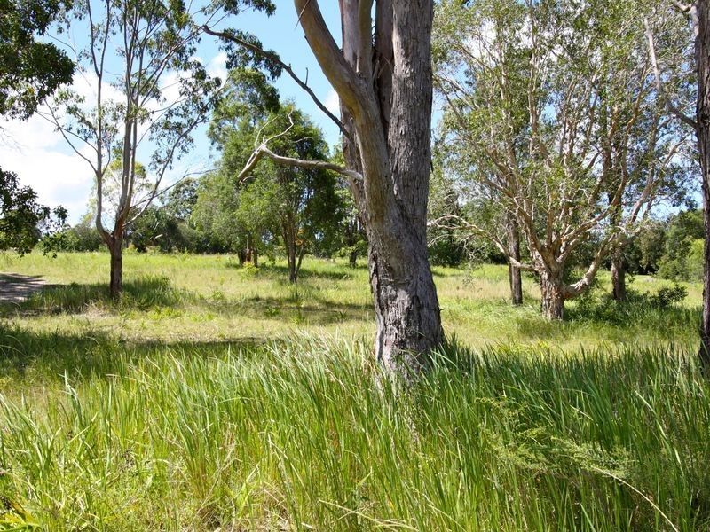 2 Bee Close, Moonee Beach NSW 2450