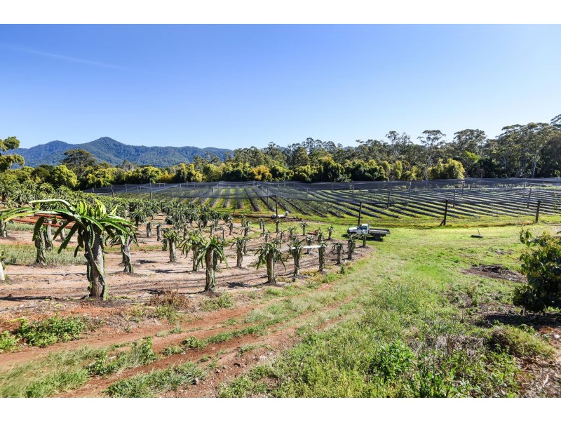 308 Pine Creek Way, Bonville NSW 2441