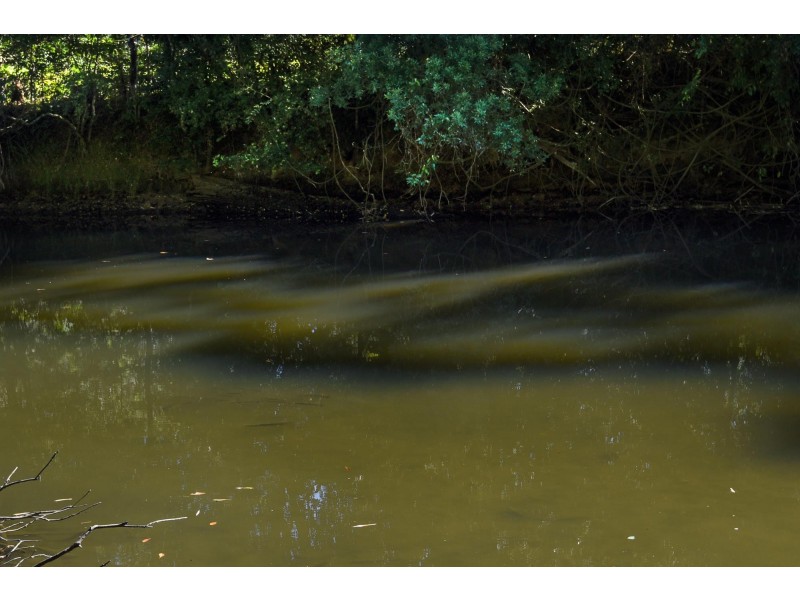 308 Pine Creek Way, Bonville NSW 2441