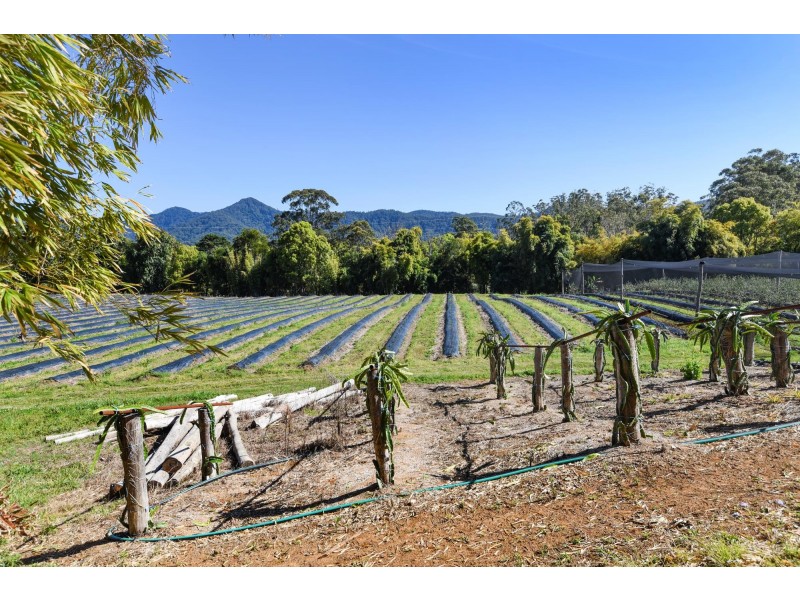 308 Pine Creek Way, Bonville NSW 2441