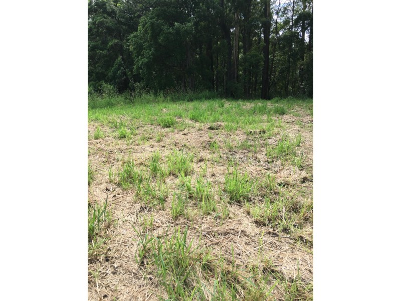 33 Lovetts Road (Lot 2 DP752834), Korora NSW 2450