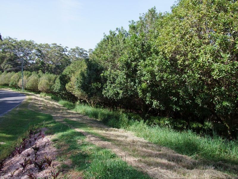 148 Osprey Drive, Urunga NSW 2455