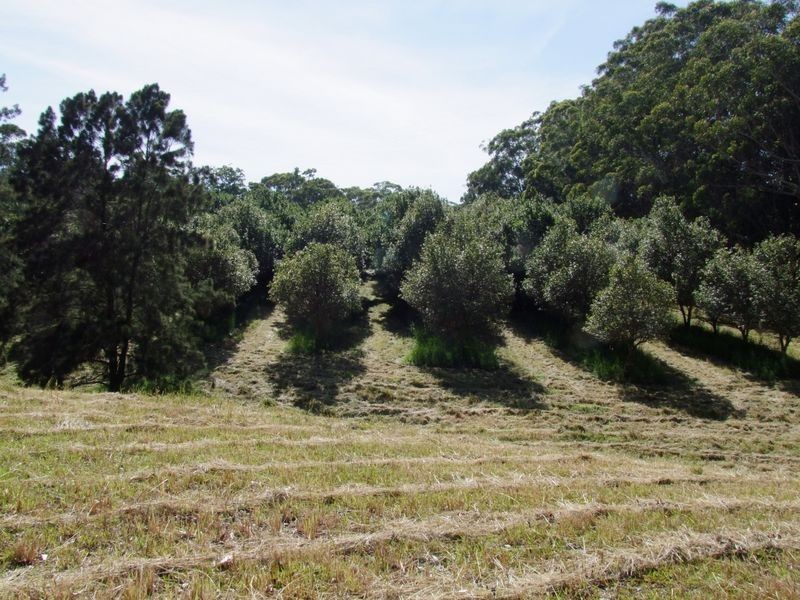 148 Osprey Drive, Urunga NSW 2455