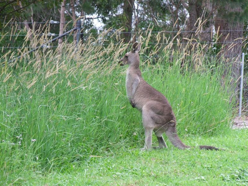 148 Osprey Drive, Urunga NSW 2455