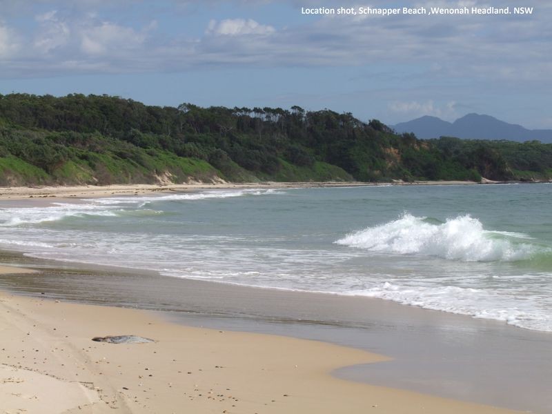 148 Osprey Drive, Urunga NSW 2455