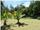 74 Adelines Way, Coffs Harbour NSW 2450